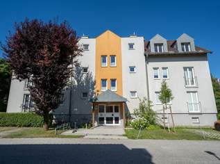 3 Zimmer Traumwohnung mit Balkon in Krummnussbaum, 542.94 €, Immobilien-Wohnungen in 3375 Krummnußbaum