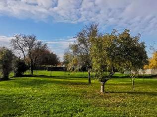 Preisreduktion! PERFEKT GESCHNITTEN - SÜDOST-AUSRICHTUNG - AUFSCHLIESSUNGSKOSTEN BEZAHLT, 196000 €, Immobilien-Grund und Boden in 7091 Gemeinde Breitenbrunn