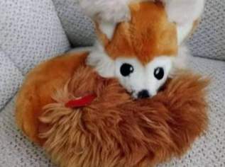 Tier mit Herz Stofftier, KLEINER Fuchs, ca 2020cm, FIXPREIS 40€ / NUR SELBSTABHOLUNG,23 Bez. KEIN Versand!, 40 €, Kindersachen-Spielzeug in 1230 Liesing