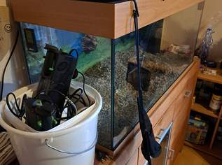 Aquarium Komplettset , 150 €, Marktplatz-Tiere & Tierbedarf in 1220 Donaustadt