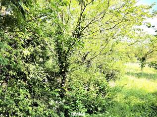 BAUGRUND im Dornröschenschlaf, 222222 €, Immobilien-Grund und Boden in 7122 Gols