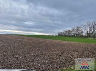 Eventuell mögliches Bauhoffnungsland nahe dem Krankenhaus Hollabrunn!, 160 €, Immobilien-Grund und Boden in 2020 Hollabrunn Eventuell mögliches Bauhoffnungsland nahe dem Krankenhaus Hollabrunn!, 160 €, Immobilien-Grund und Boden in 2020 Hollabrunn