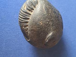 Souvenirs aus aller Welt, Mineralien, Meteorit, Meeresschnecke aus Tibet ! ec
