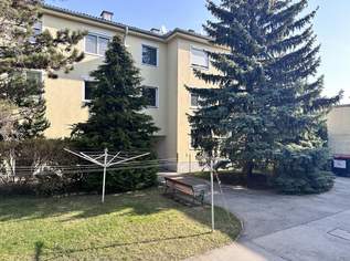 "Große Wohnung - kleiner Preis!", 185000 €, Immobilien-Wohnungen in 2331 Vösendorf