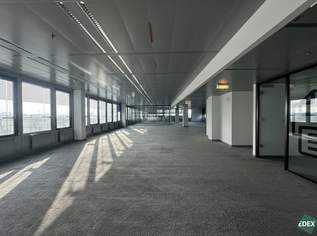 Modernes Arbeiten im Ares Tower!, 9591 €, Immobilien-Gewerbeobjekte in 1220 Donaustadt