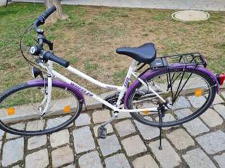 Wheeler Trekking Fahrrad 4300 Wheeler Trekking Fahrrad 4300