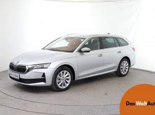 Octavia Selection TDI DSG, 39990 €, Auto & Fahrrad-Autos in 8792 St. Peter-Freienstein