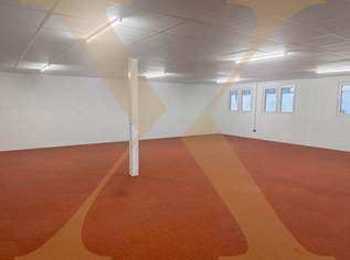Heller Lager- bzw. Schauraum mit großzügigen Fensterflächen in Hörsching zu Vermieten!, 1423.14 €, Immobilien-Gewerbeobjekte in 4063 Hörsching