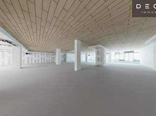 Großzügige Geschäftslokale zwischen 300 und 800 m² im 21. Bezirk – Top Sichtbarkeit, 6399.38 €, Immobilien-Gewerbeobjekte in 1210 Floridsdorf