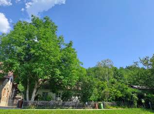 CHARMANTES KLEINES HAUS FÜR HANDWERKLICH GESCHICKTE HÄNDE, 140000 €, Immobilien-Häuser in 2650 Gemeinde Payerbach