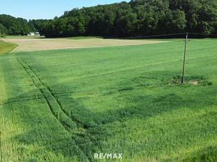 Sonniges Grundstück in Alleinlage, 116100 €, Immobilien-Grund und Boden in 5133 Gilgenberg am Weilhart