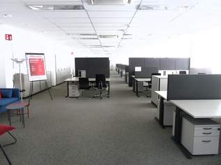 "Großraumbüro plus 3 Einzelbüros, sowie 15 Parkplätze-Leobendorf-Nähe A22/S1", 7260 €, Immobilien-Gewerbeobjekte in Niederösterreich