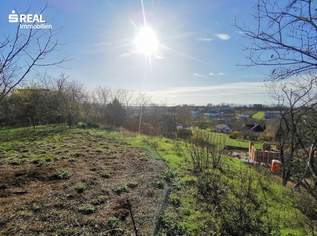 Rarität am Kirchberg – Exklusives Baugrundstück mit unverbaubarem Seeblick, 699000 €, Immobilien-Grund und Boden in 7100 Gemeinde Neusiedl am See