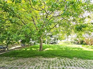 Grün, ruhig, kuschelig – Meine perfekte erste Wohnung!!, 139500 €, Immobilien-Wohnungen in 1210 Floridsdorf Grün, ruhig, kuschelig – Meine perfekte erste Wohnung!!, 139500 €, Immobilien-Wohnungen in 1210 Floridsdorf