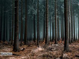 Waldfläche + provisionsfrei +, 2700 €, Immobilien-Grund und Boden in 9473 Lavamünd