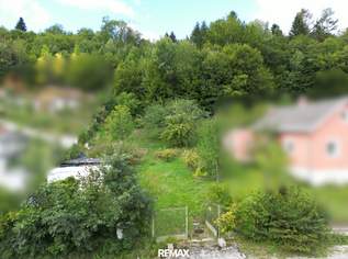 Optimal bebaubares Grundstück für ein Einfamilienhaus in Pfalzau, 225000 €, Immobilien-Grund und Boden in 3021 Pressbaum Optimal bebaubares Grundstück für ein Einfamilienhaus in Pfalzau, 225000 €, Immobilien-Grund und Boden in 3021 Pressbaum