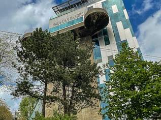 Großzügige Altbauwohnung mit kleinem Balkon in repräsentativen Stilaltbau, 3190 €, Immobilien-Wohnungen in 1060 Mariahilf