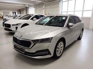 Octavia Style, 16990 €, Auto & Fahrrad-Autos in 3442 Gemeinde Langenrohr Octavia Style, 16990 €, Auto & Fahrrad-Autos in 3442 Gemeinde Langenrohr