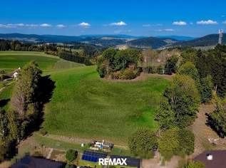 Wohnen mit Weitblick: Baugrundstück in ruhiger Lage von Neustift, 35000 €, Immobilien-Grund und Boden in 4143 Neustift im Mühlkreis