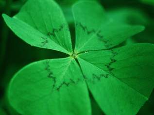 Gelegenheit in Fürstenfeld, 82585 €, Immobilien-Grund und Boden in 8280 Fürstenfeld