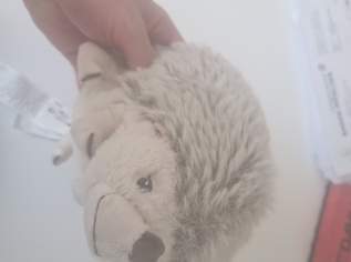 Stofftier - Igel Isidor sucht Zuhause!, 5 €, Kindersachen-Spielzeug in 1180 Währing Stofftier - Igel Isidor sucht Zuhause!, 5 €, Kindersachen-Spielzeug in 1180 Währing