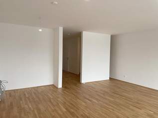 Eine Wohnung mit Loggia und modernem Flair, 434000 €, Immobilien-Wohnungen in Oberösterreich