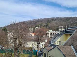 Neuwaldegg Renovierte Maisonette mit Balkon Terrasse Neuwaldegg Renovierte Maisonette mit Balkon Terrasse