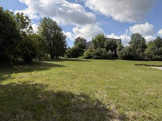 Baugrundstücke in Zentrumsnähe, 0 €, Immobilien-Grund und Boden in 4150 Berg bei Rohrbach Baugrundstücke in Zentrumsnähe, 0 €, Immobilien-Grund und Boden in 4150 Berg bei Rohrbach