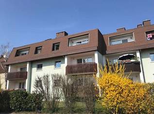 PROVISIONSFREI: Großzügige 3-Zimmer DG-Eigentumswohnung in perfekter Lage (2542), 277000 €, Immobilien-Wohnungen in 2542 Kottingbrunn PROVISIONSFREI: Großzügige 3-Zimmer DG-Eigentumswohnung in perfekter Lage (2542), 277000 €, Immobilien-Wohnungen in 2542 Kottingbrunn