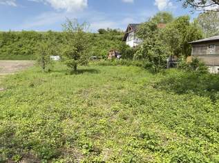 Baugrundstück in der Nähe von Wien in ländlicher Grün-Wohnlage, 415000 €, Immobilien-Grund und Boden in 2111 Obergänserndorf