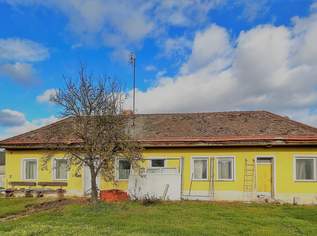 Großes Grundstück mit Einfamilienhaus und Lagerhalle, 389000 €, Immobilien-Häuser in 2054 Kleinhaugsdorf