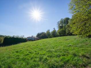 Großzügiges Baugrundstück mit Fernblick in sonniger Südostlage, 240000 €, Immobilien-Grund und Boden in 3032 Eichgraben