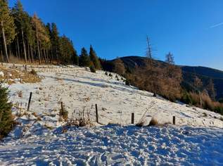 Bauland Kurgebiet und Grünland auf der Koralm, 1599930 €, Immobilien-Grund und Boden in 9400 Wolfsberg