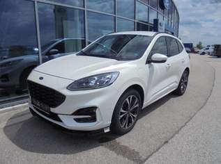 Kuga ST-Line X Plug-In Hybrid 150Ps Vollausstatung, 20900 €, Auto & Fahrrad-Autos in 4786 Brunnenthal Kuga ST-Line X Plug-In Hybrid 150Ps Vollausstatung, 20900 €, Auto & Fahrrad-Autos in 4786 Brunnenthal