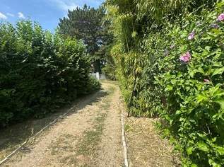 "BAUGRUNDSTÜCK mit ABBRUCHHAUS!", 49000 €, Immobilien-Grund und Boden in 2632 Grafenbach "BAUGRUNDSTÜCK mit ABBRUCHHAUS!", 49000 €, Immobilien-Grund und Boden in 2632 Grafenbach
