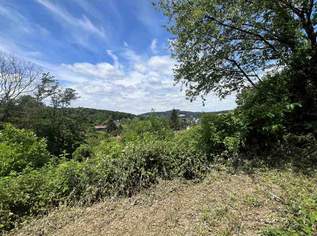Traumhafter Baugrund in Kierling, 750000 €, Immobilien-Grund und Boden in 3400 Kierling