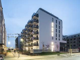 3-Zimmer Dachterrassenwohnung inkl. Komplettküche und Kellerabteil / K2-54, 1199.01 €, Immobilien-Wohnungen in 1220 Donaustadt