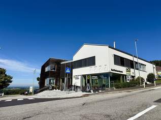Büro mit Wohlfühlfaktor mitten in Eidenberg - hell, modern und klimatisiert, 858.53 €, Immobilien-Gewerbeobjekte in 4201 Eidenberg