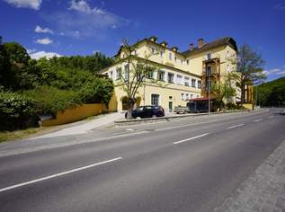 Renoviertes Wohnhaus im Kamptal (NÖ) mit rd. 7,2 % Soll Rendite, 1850000 €, Immobilien-Gewerbeobjekte in 3573 Gemeinde Rosenburg-Mold