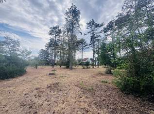 Baugrundstücke mit hervorragendem Preis-Leistungs-Verhältnis – Ideal für Eigenheim oder Investment, 215000 €, Immobilien-Grund und Boden in 2230 Gemeinde Gänserndorf