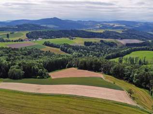 Ruhe, Platz und Entfaltungsmöglichkeiten gesucht??, 330000 €, Immobilien-Häuser in 2811 Gemeinde Wiesmath Ruhe, Platz und Entfaltungsmöglichkeiten gesucht??, 330000 €, Immobilien-Häuser in 2811 Gemeinde Wiesmath
