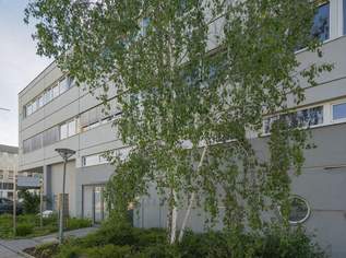 + + + ATTRAKTIVES BÜROHAUS + + + ca. 1.800 m² + + + NÄHE LIEBLGASSE + + +, 13450.88 €, Immobilien-Gewerbeobjekte in 1220 Donaustadt