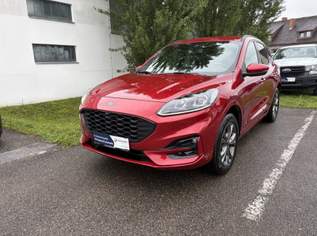 Kuga 2,5 Duratec PHEV ST-Line X Aut., 23990 €, Auto & Fahrrad-Autos in 8435 Wagna Kuga 2,5 Duratec PHEV ST-Line X Aut., 23990 €, Auto & Fahrrad-Autos in 8435 Wagna