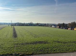 Eigentumswohnung mit Loggia in wunderschöner, ruhiger Aussichtslage nahe Lindetwald, 115000 €, Immobilien-Wohnungen in 4975 Suben