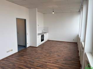 IDEALE STARTWOHNUNG MIT KÜCHE!!!, 696.1 €, Immobilien-Wohnungen in 1100 Favoriten