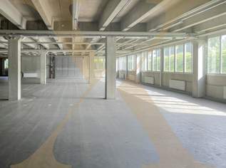 Großzügiges Lager mit Anpassrampen in Linz zu vermieten! Teilbar!, 7500 €, Immobilien-Gewerbeobjekte in Oberösterreich Großzügiges Lager mit Anpassrampen in Linz zu vermieten! Teilbar!, 7500 €, Immobilien-Gewerbeobjekte in Oberösterreich