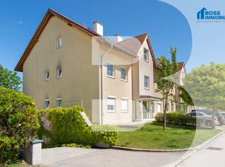 Home Sweet Home, 784.92 €, Immobilien-Wohnungen in 4050 Traun Home Sweet Home, 784.92 €, Immobilien-Wohnungen in 4050 Traun