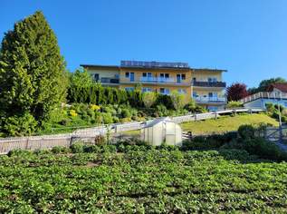 Mietwohnung im Zentrum von Weitersfelden im Obergeschoß, 664.15 €, Immobilien-Wohnungen in 4272 Weitersfelden