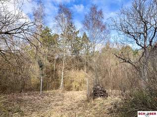 Grundstück in Waldrandlage, 648000 €, Immobilien-Grund und Boden in 2551 Enzesfeld