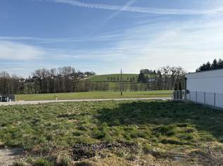 Baugrundstück ohne Bauverpflichtung in attraktiver Lage Nähe Ried i.I., 142600 €, Immobilien-Grund und Boden in 4921 Hohenzell Baugrundstück ohne Bauverpflichtung in attraktiver Lage Nähe Ried i.I., 142600 €, Immobilien-Grund und Boden in 4921 Hohenzell